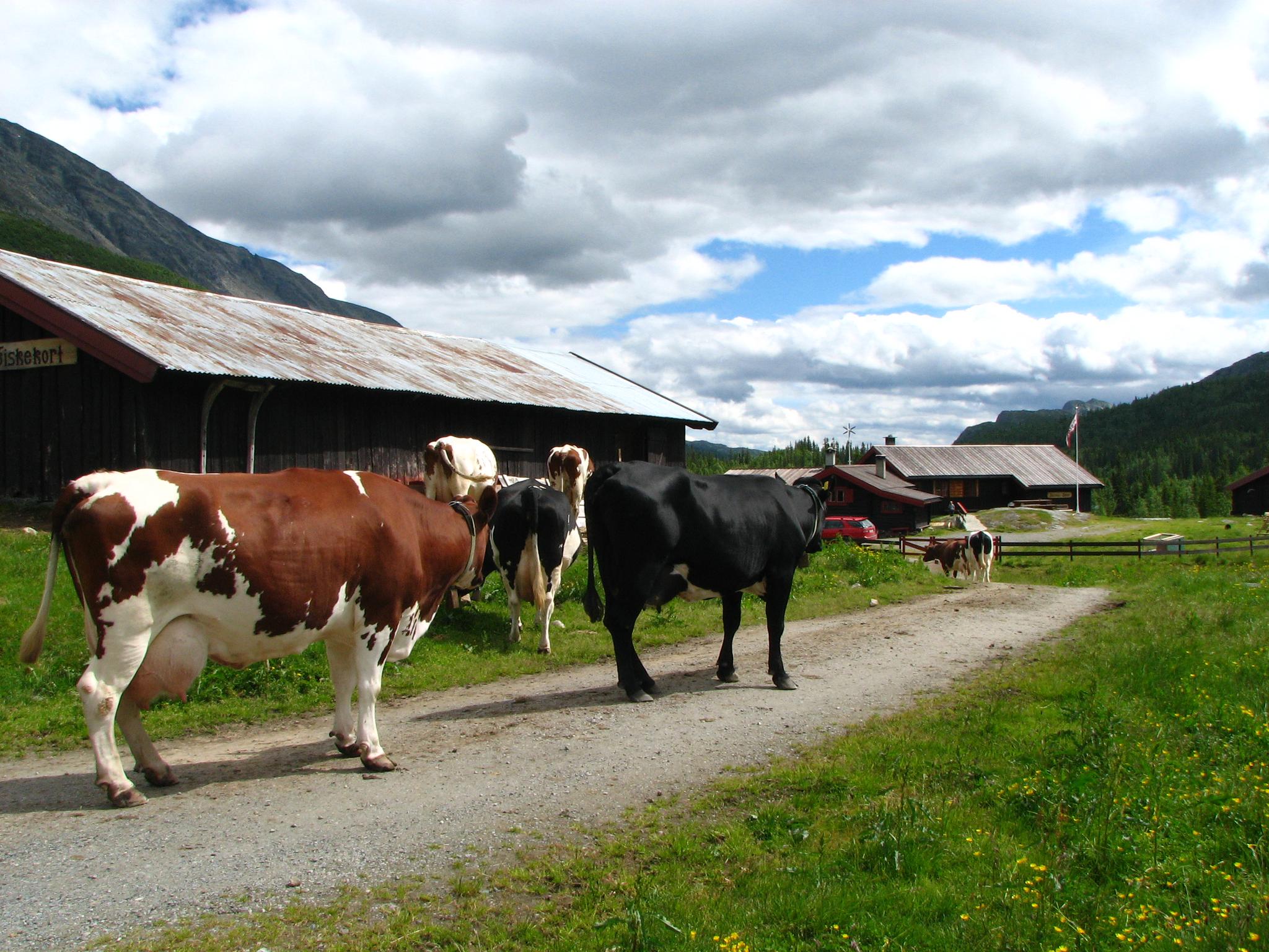 Foto: Hans-Dieter Fleger