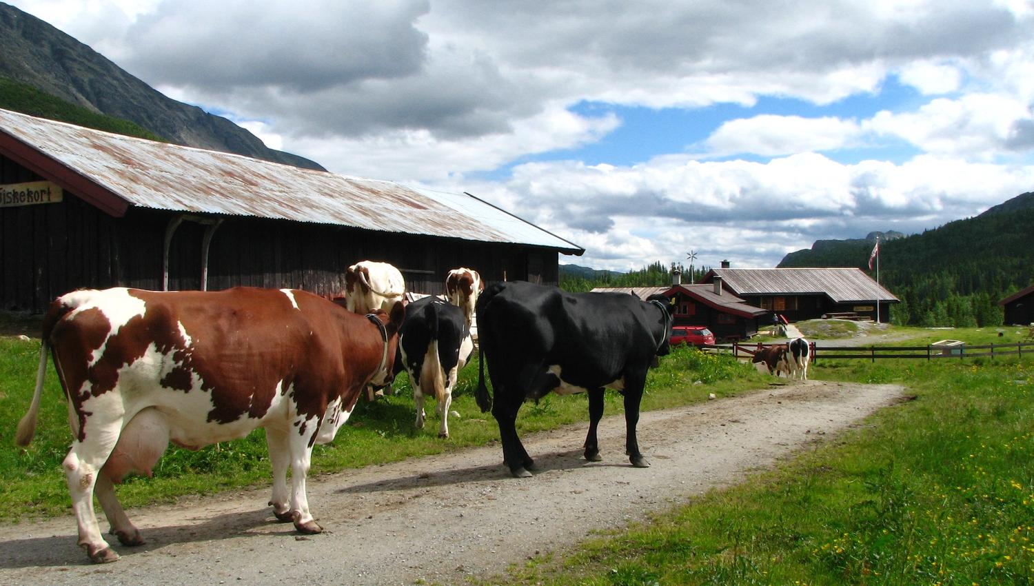 Foto: Hans-Dieter Fleger