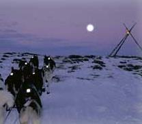 Huskysafari på Finnmarksvidda med Engholm Husky