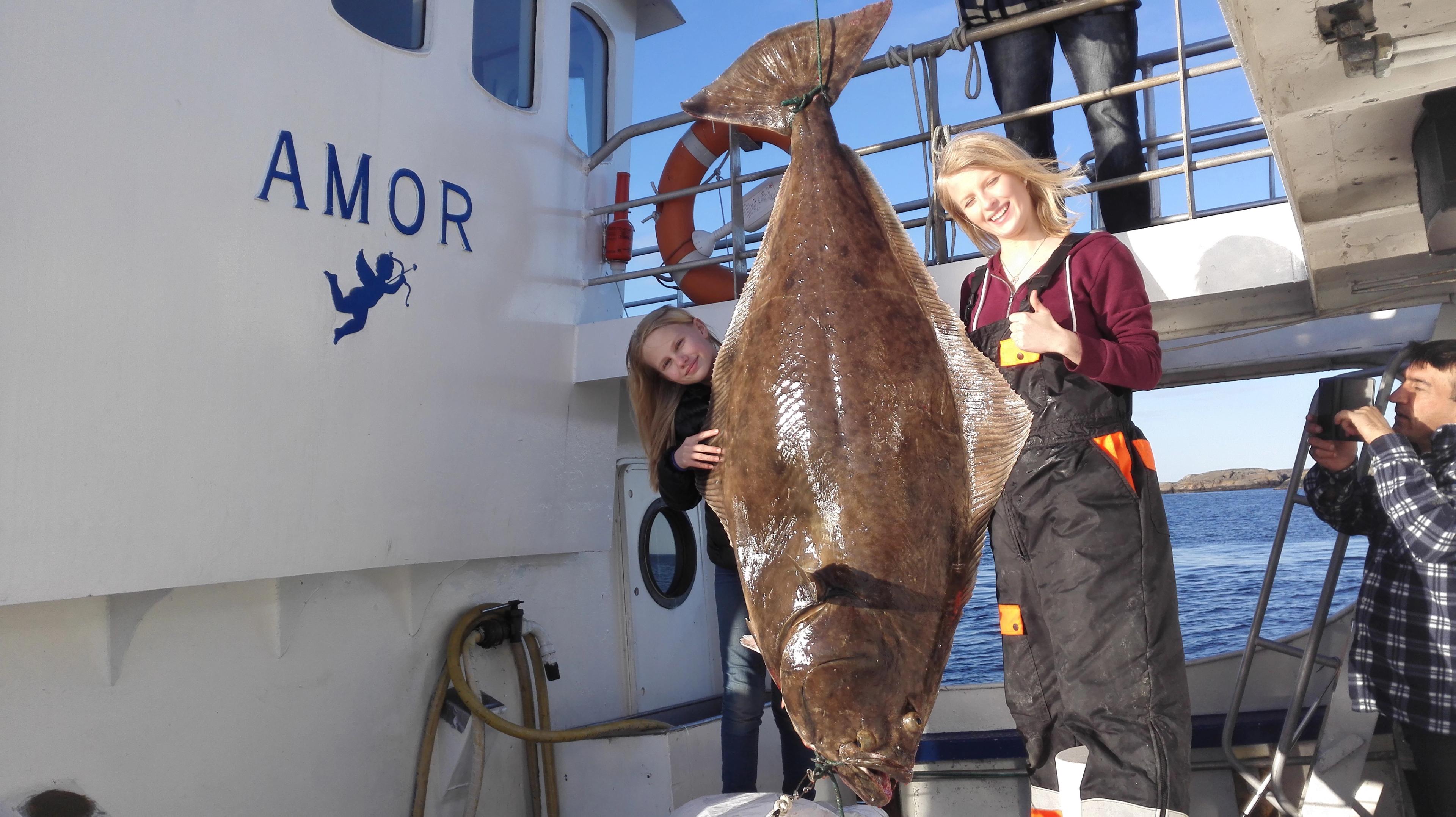 M/S Amor - fishing trips