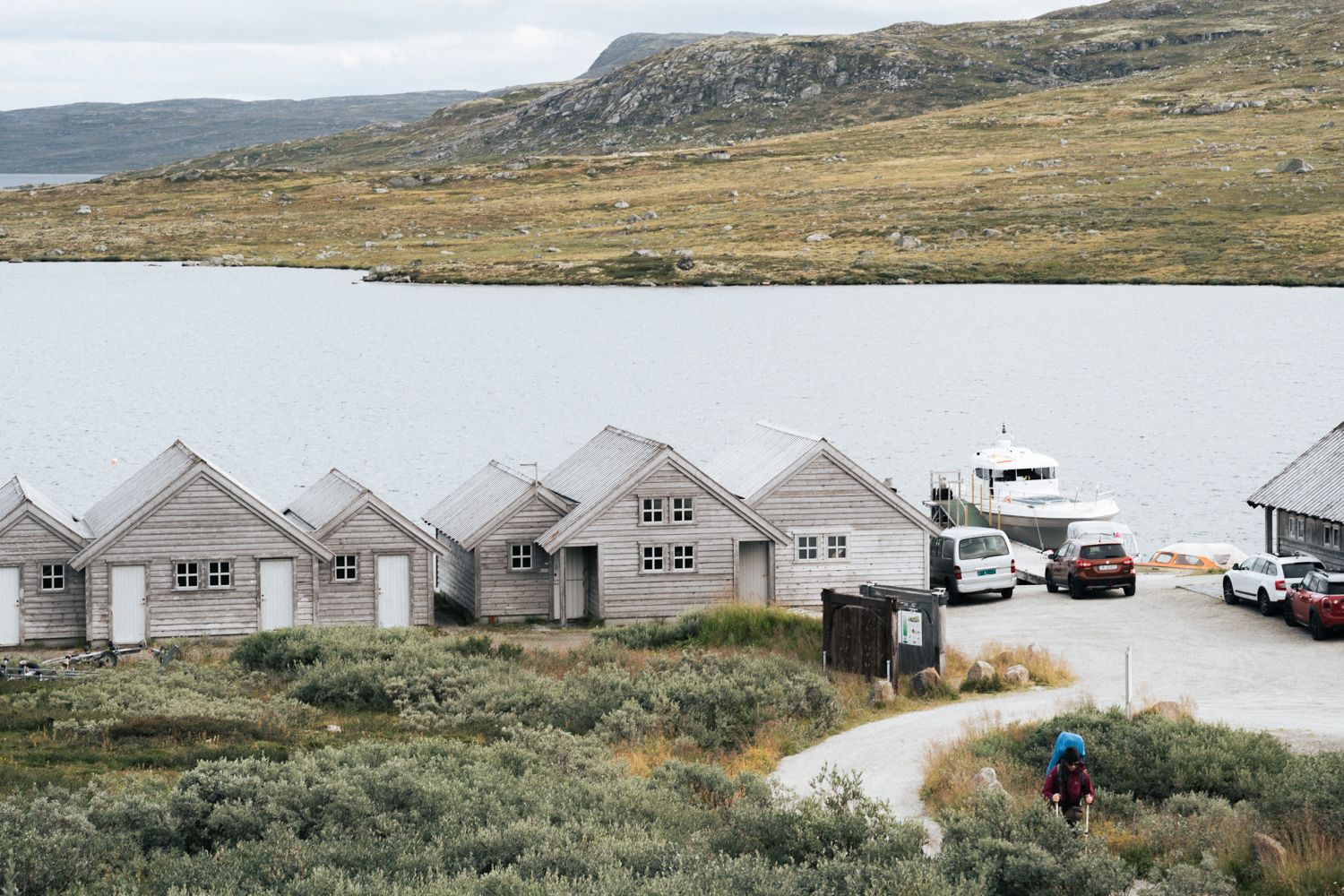 Hardangervidda x Yrjan Olsnes 2021-09048