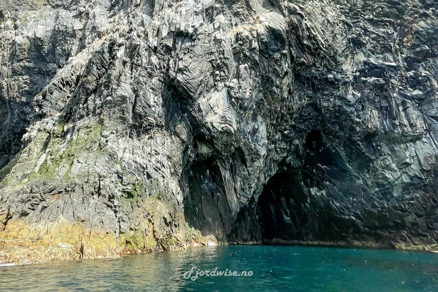 Private boat charter to Runde bird island