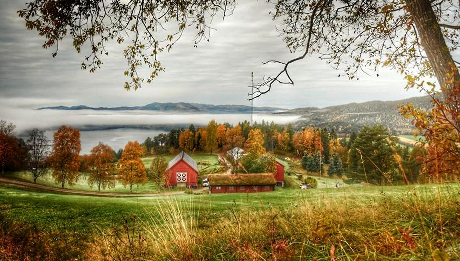 Yttervik farm at autumn