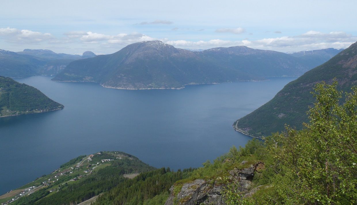 View over the Hardangerfjord from Dronningstien with green forests and mountains in the background.