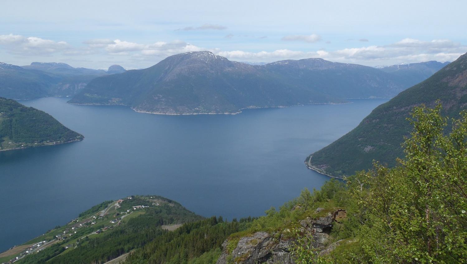 View over the Hardangerfjord from Dronningstien with green forests and mountains in the background.