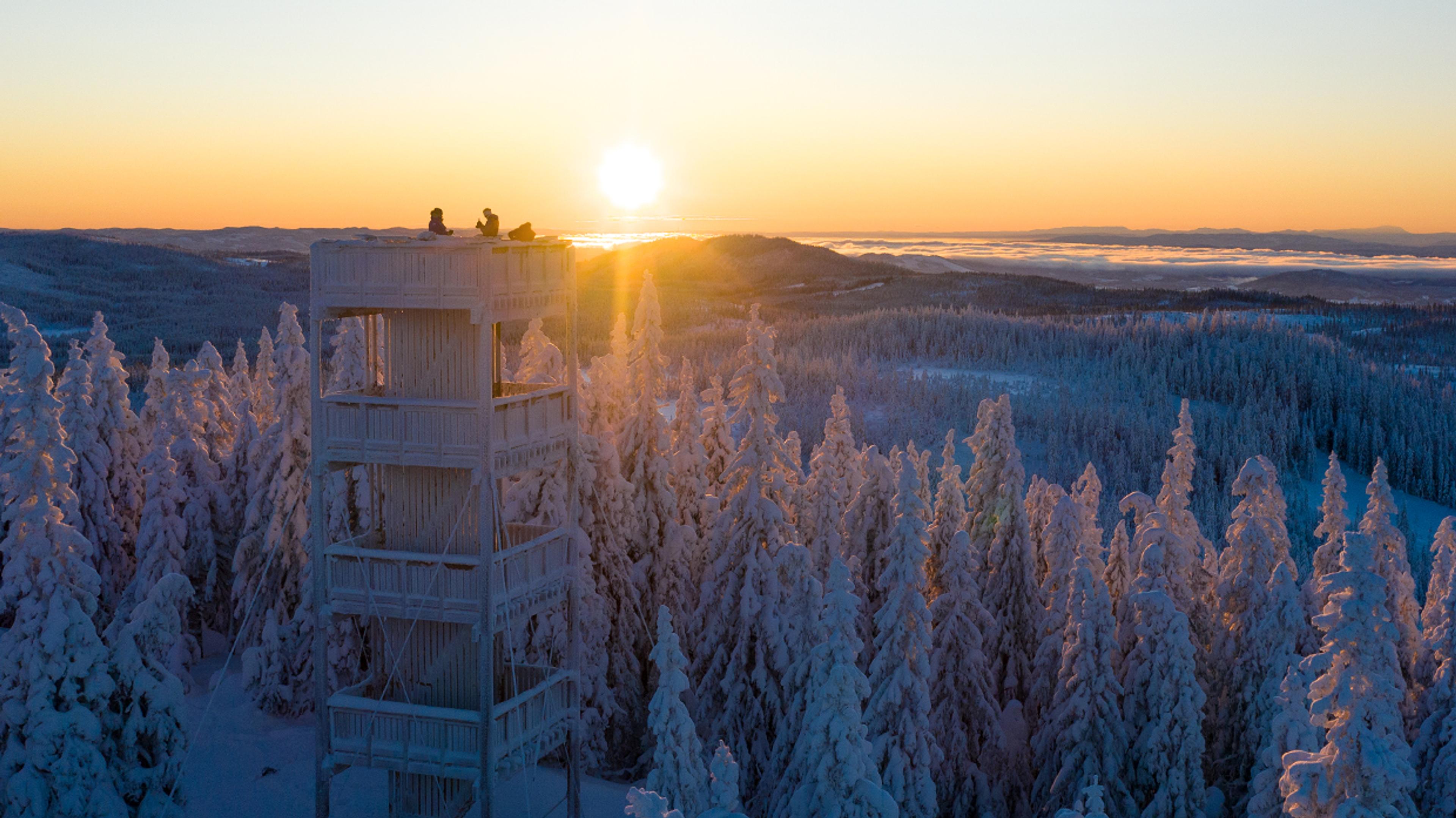 WEB_2020_06_18_lygnasæter_DJI_0455.00_00_00_00.Still001