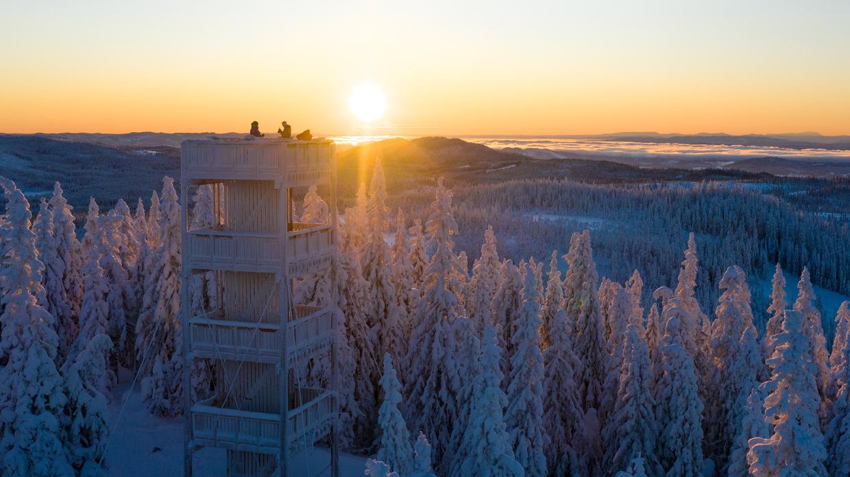 WEB_2020_06_18_lygnasæter_DJI_0455.00_00_00_00.Still001