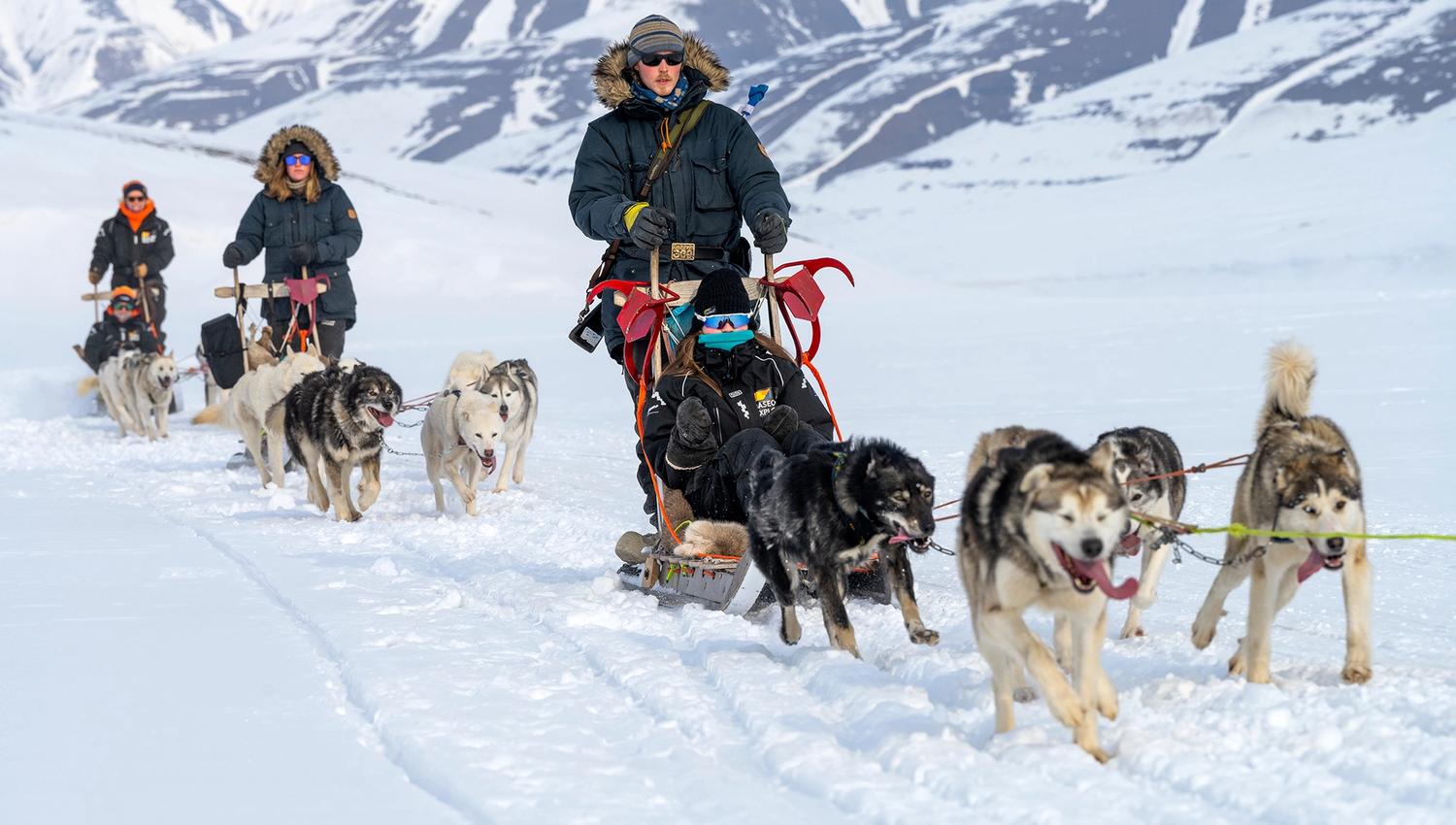 A guide driving a dog sled with a guest sitting on it. In the background, two more sleds are following along.