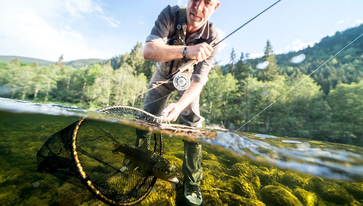Fiske i Tokkeåi