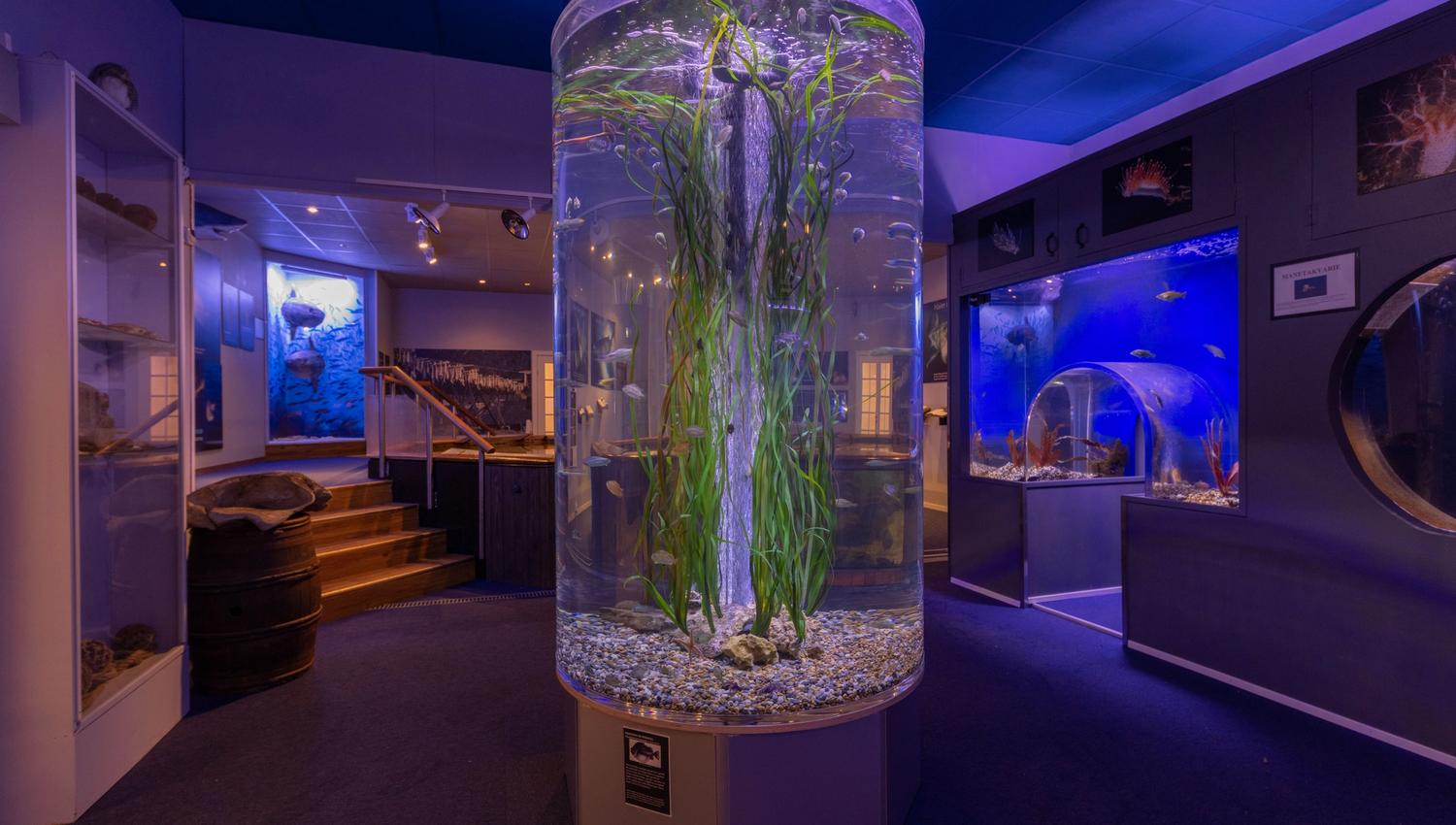 Drøbak akvarium