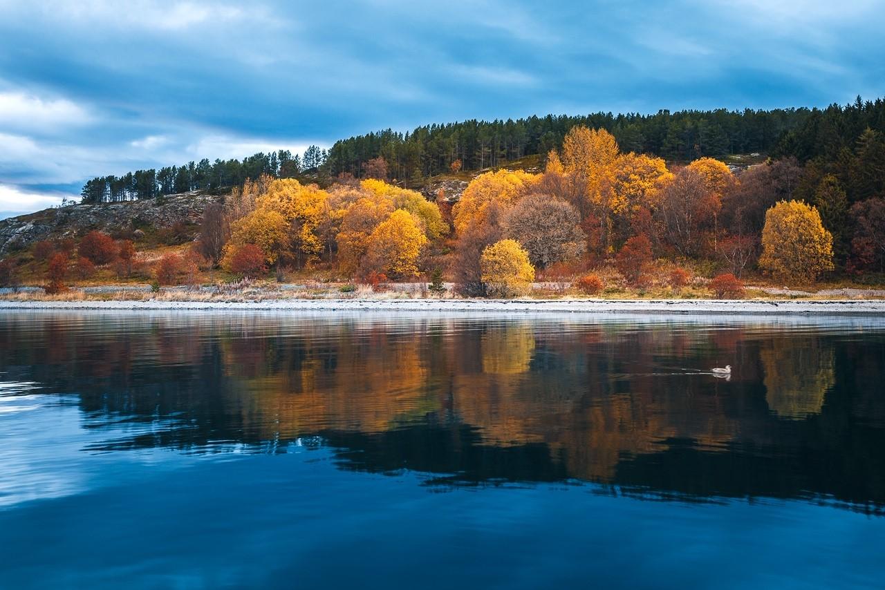 thumbnail_ArcticWaters034