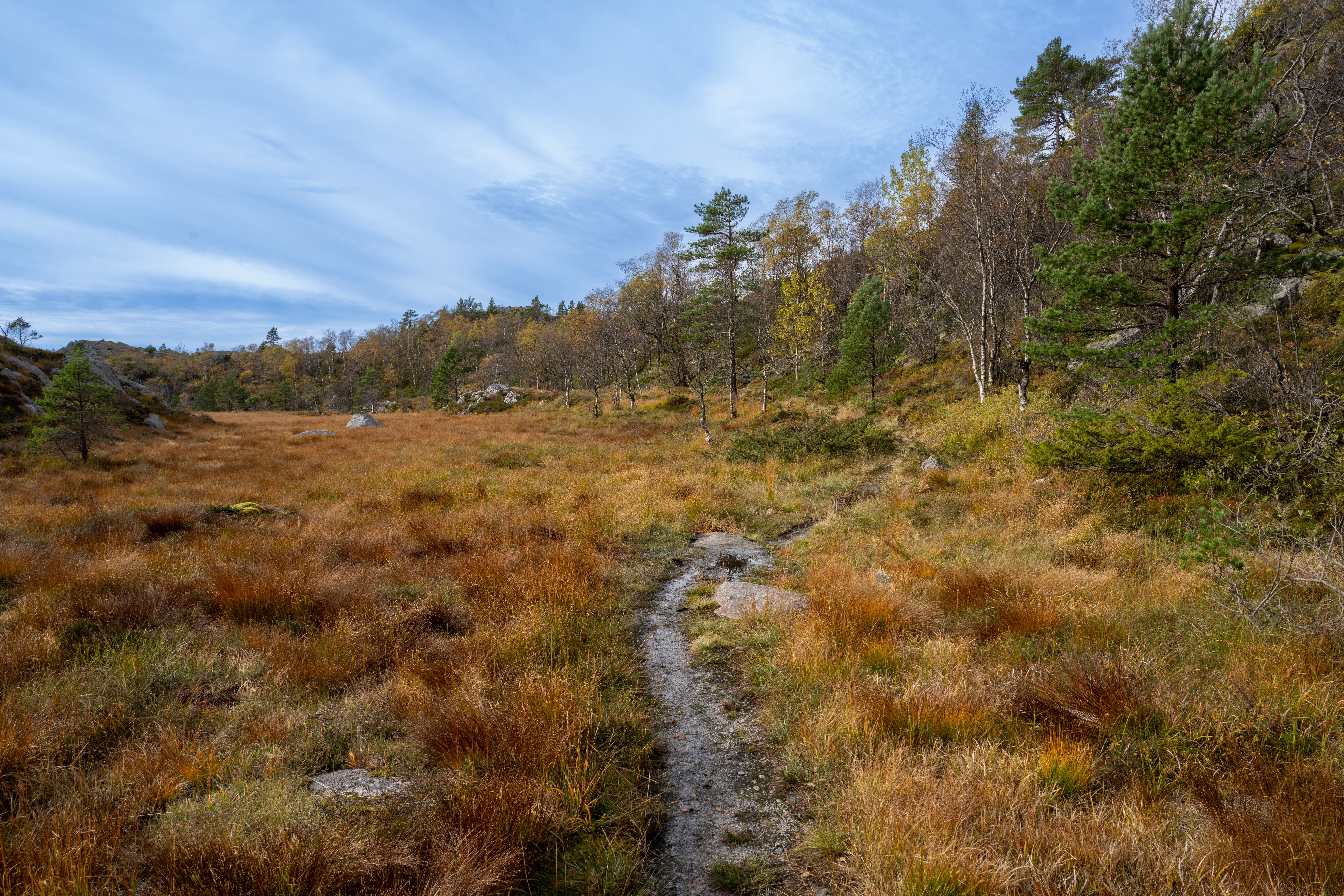 Autumn colours along the trail