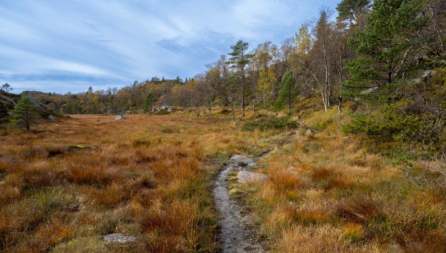 Autumn colours along the trail