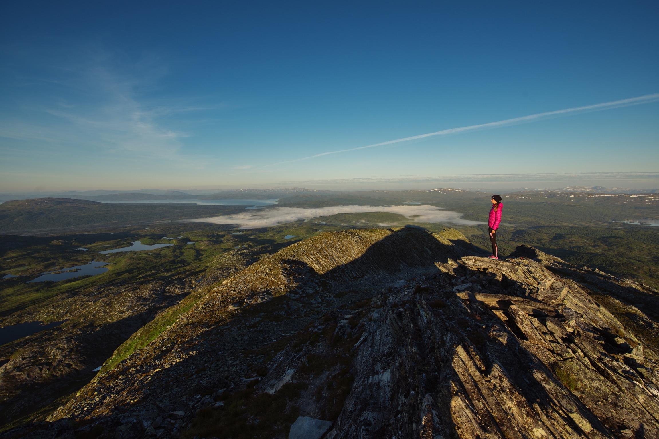 Dærga_Petr Pavlichek