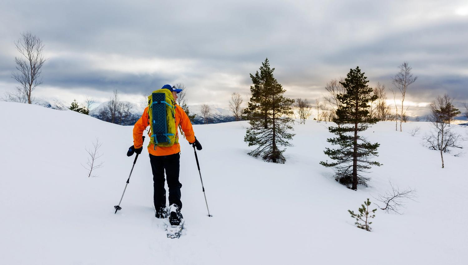 Snowshoe Hiking with Norway Mountain Guides