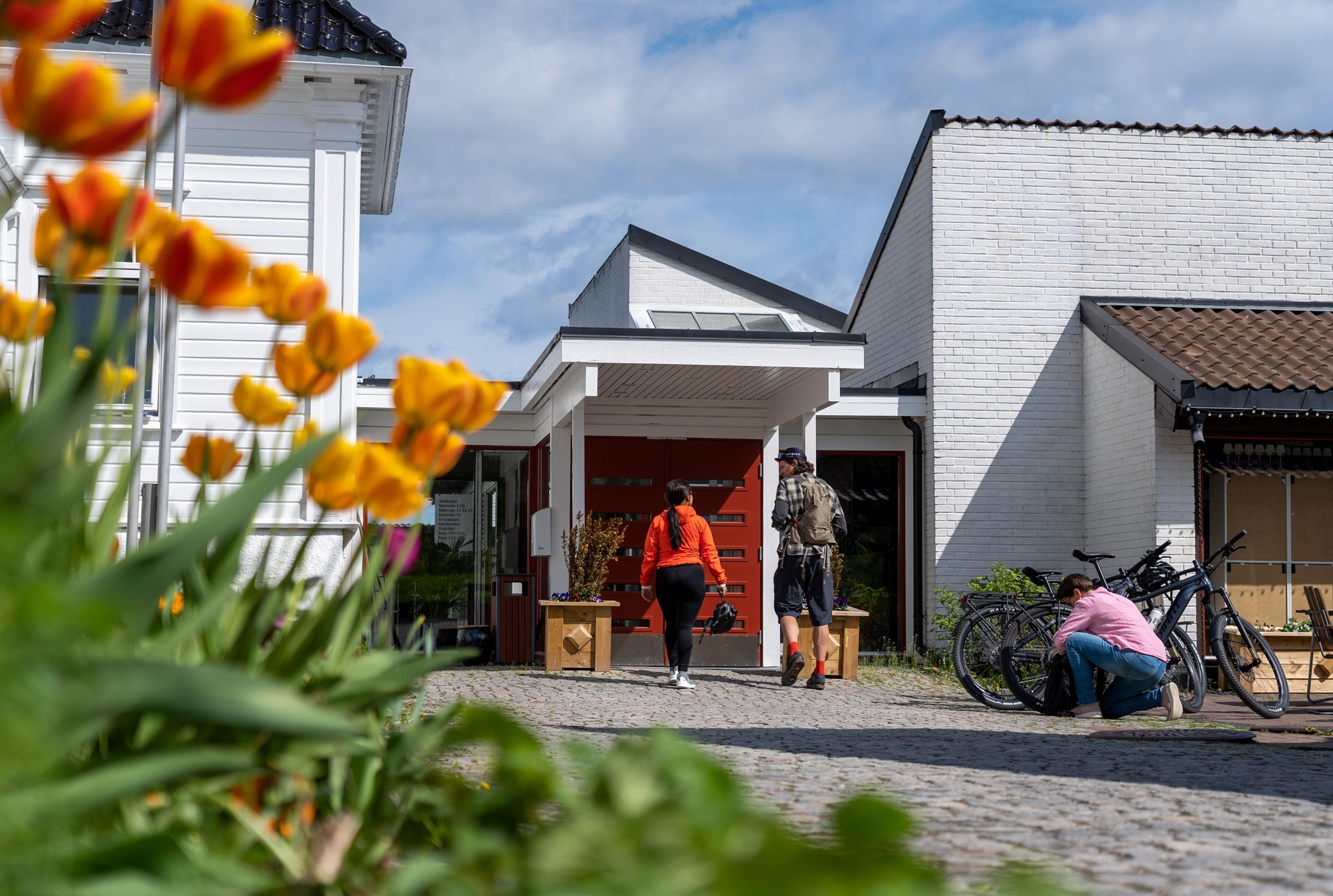 Sykkelferie med overnatting på Thorbjørnrud Hotell