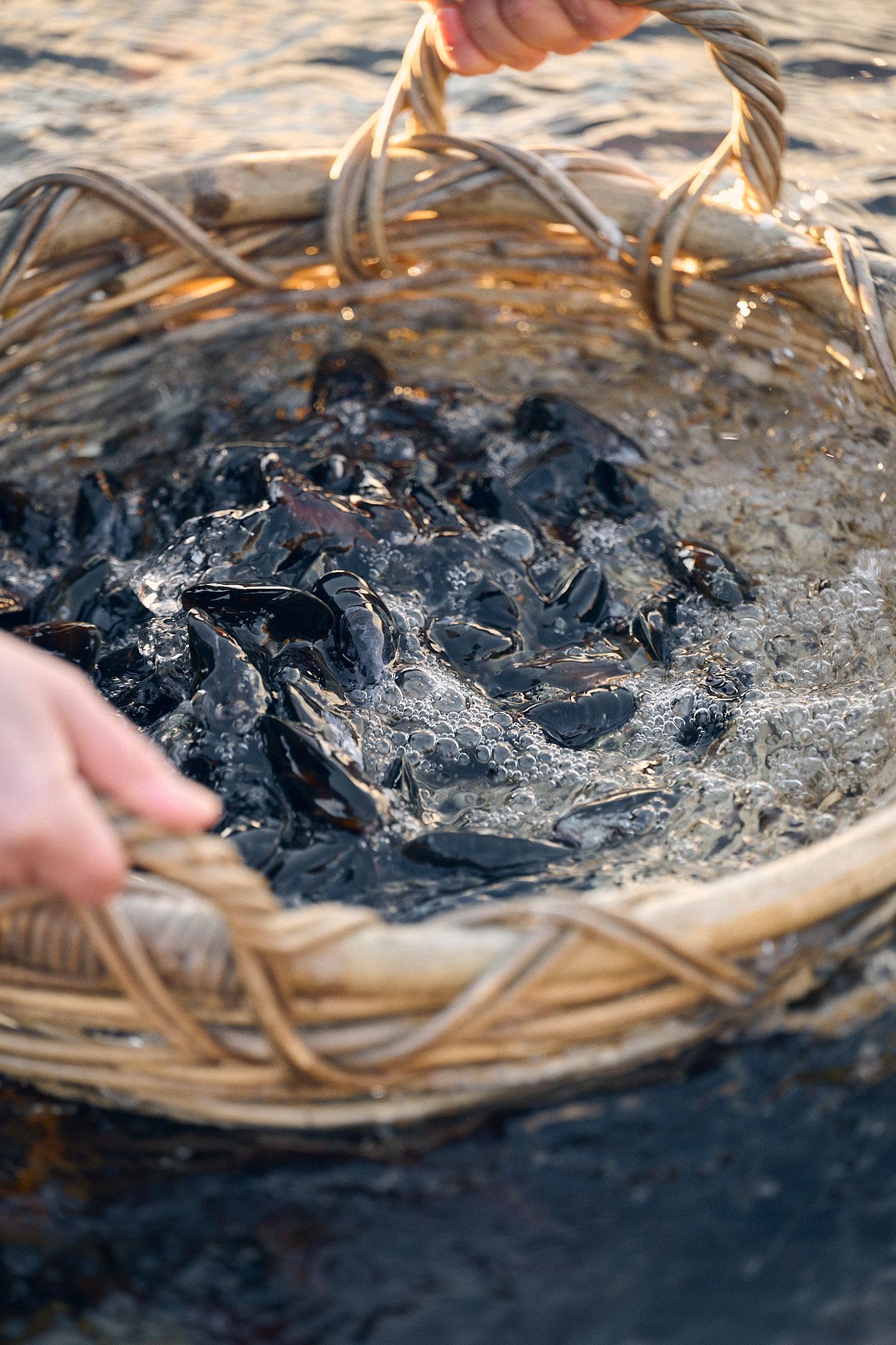 Mussels in a basket