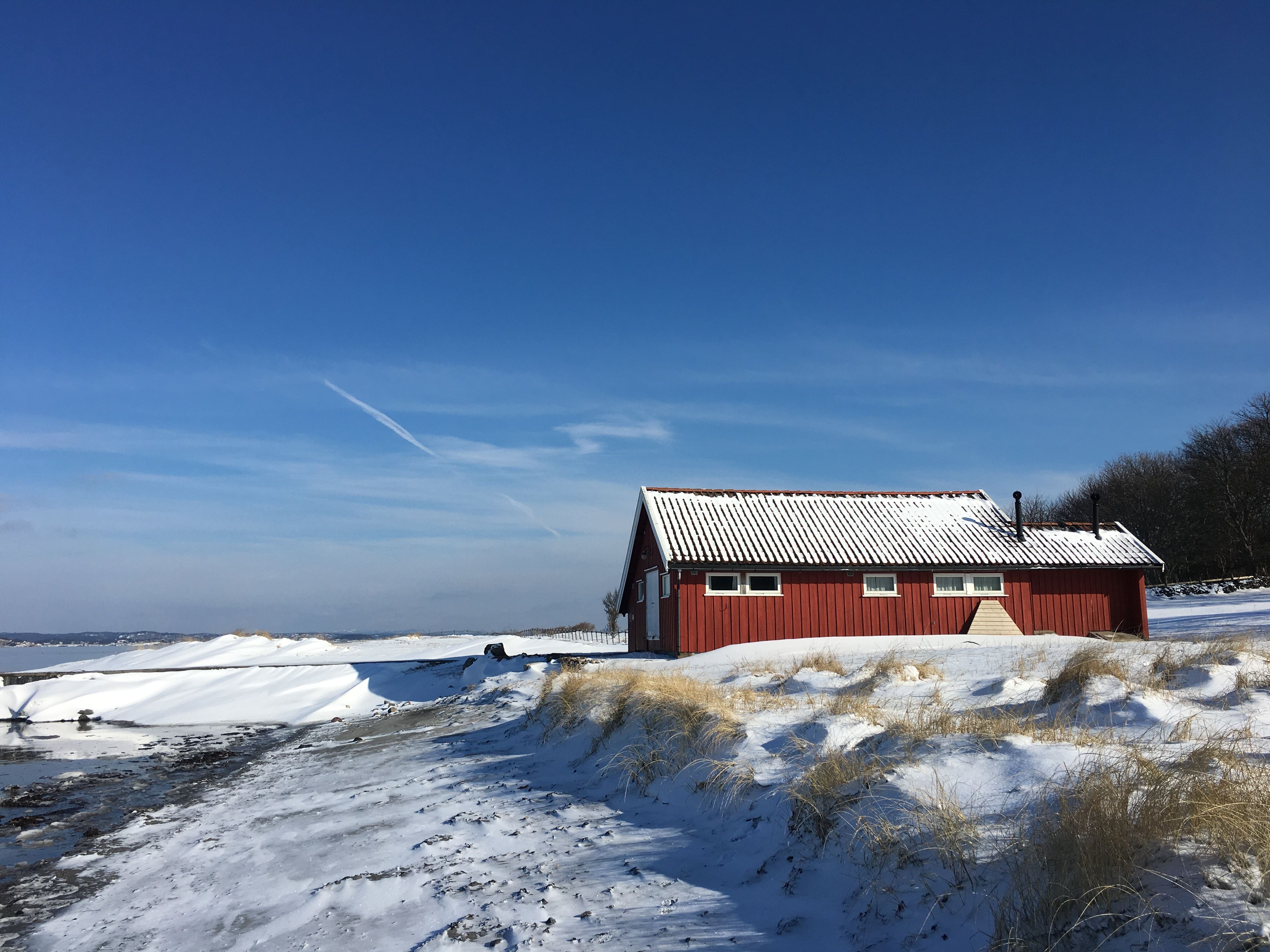 vinter, Ruth