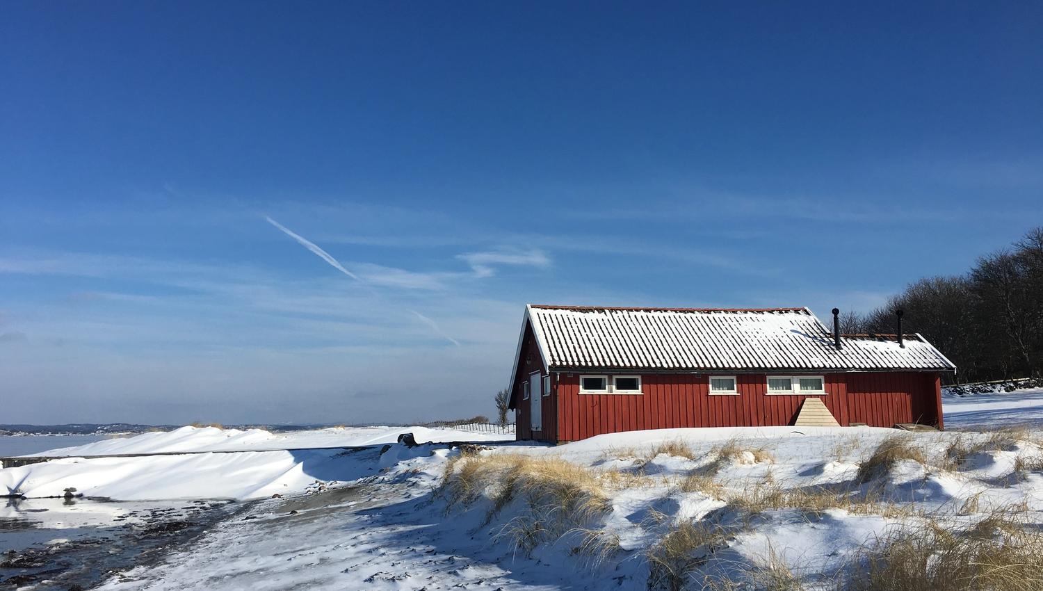 vinter, Ruth