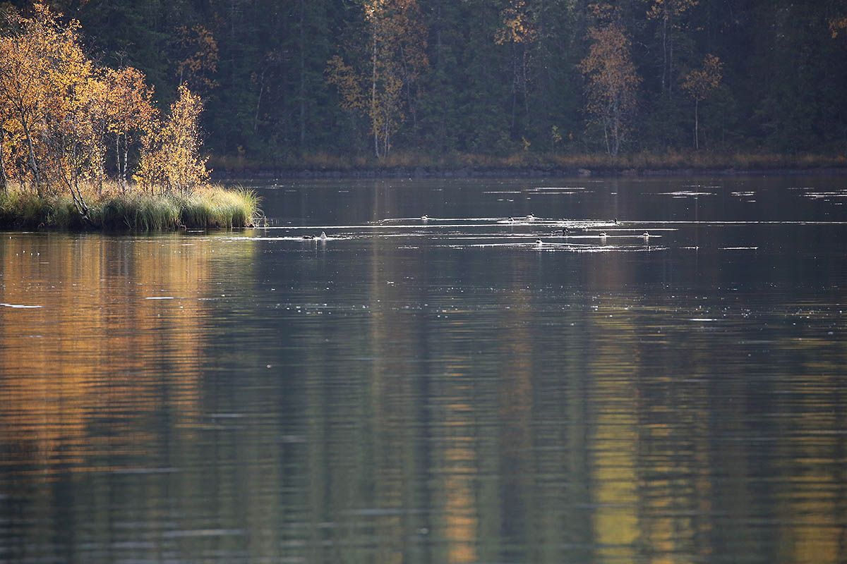 web_Lomendelta_Y92A8229