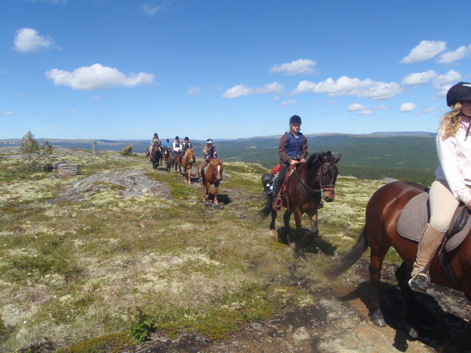 Riding - Savalen Hestesenter