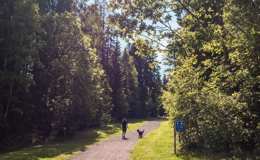 man with dog goes for a walk in Skien leisure park