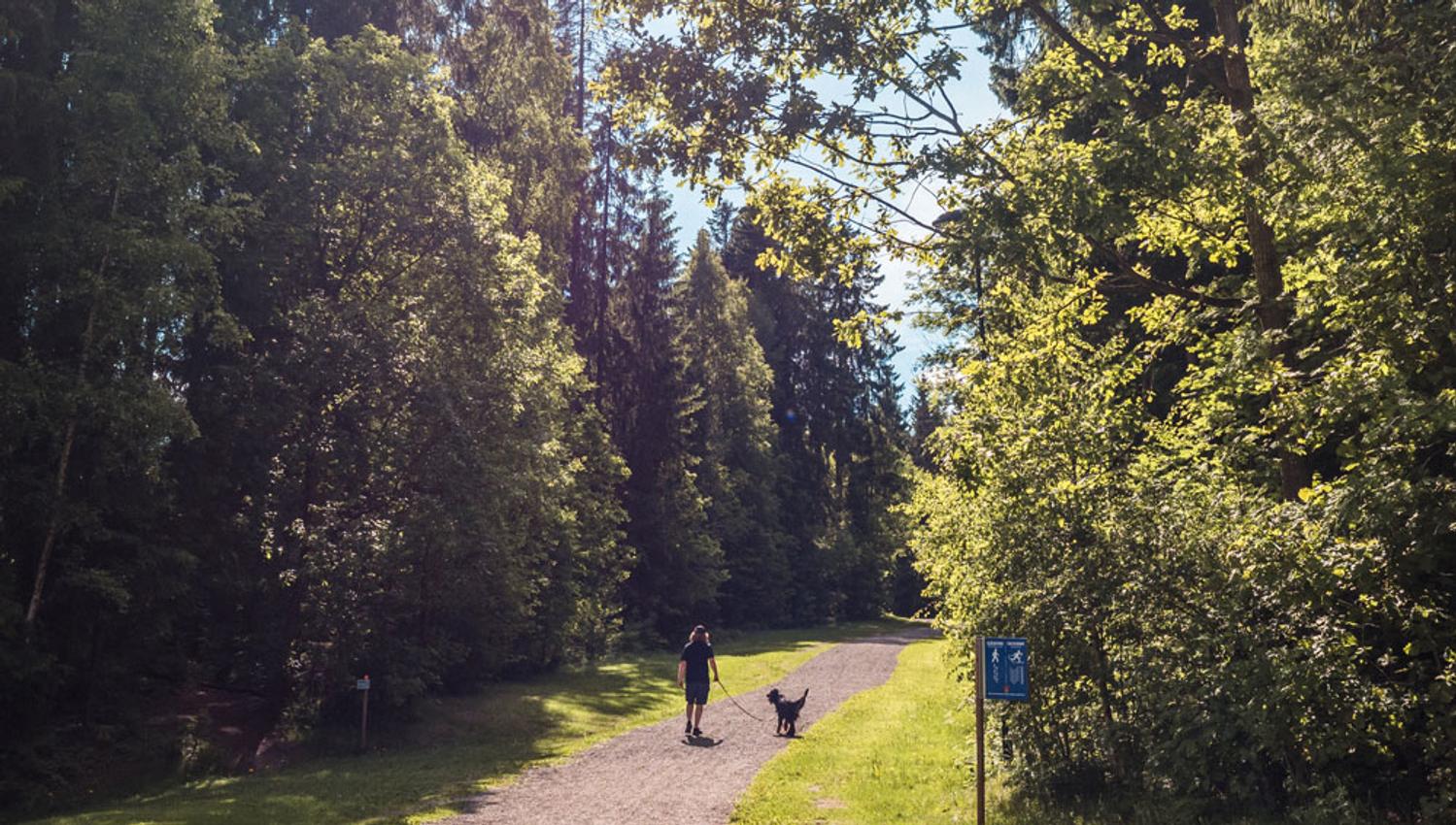 man with dog goes for a walk in Skien leisure park