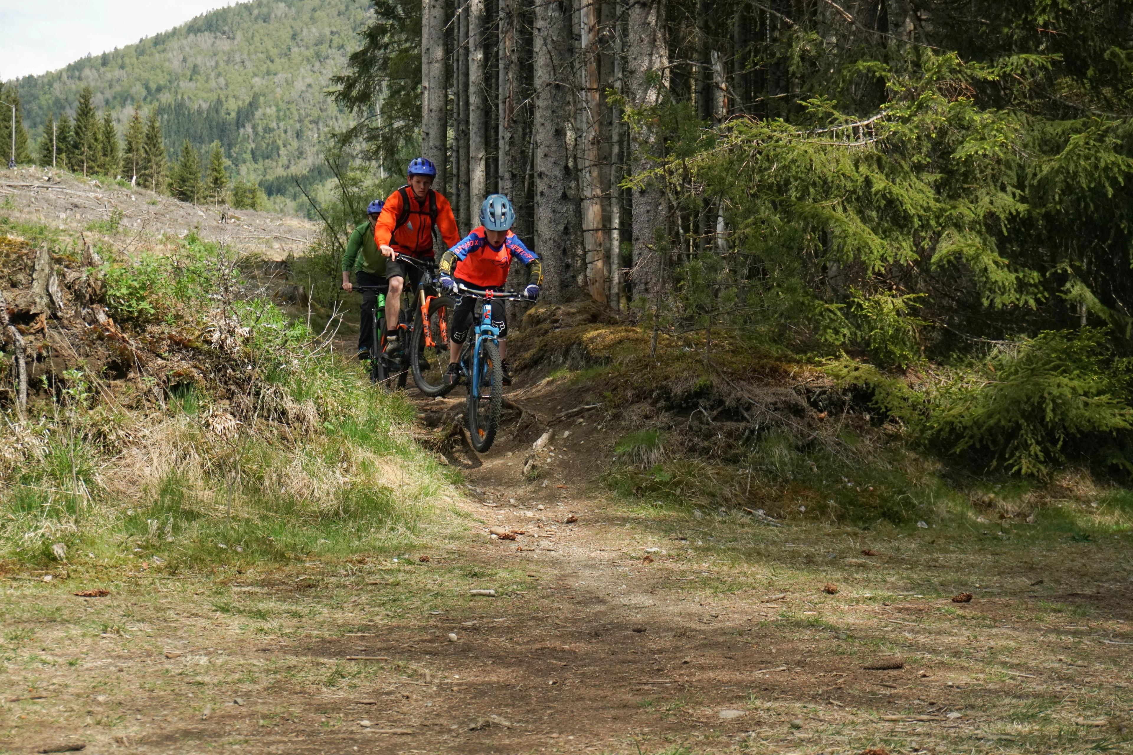 Guided MTB tours, Voss Forest, Outdoor Norway