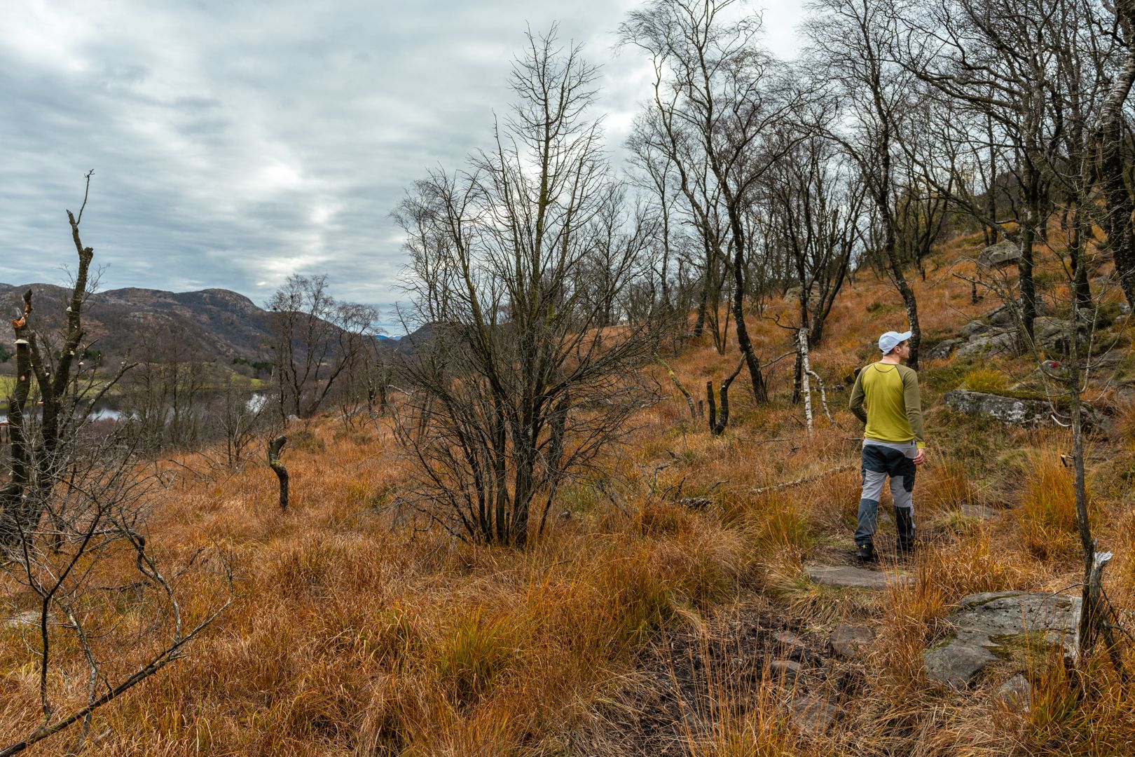 Beautiful colours in the mountains, here in autumn