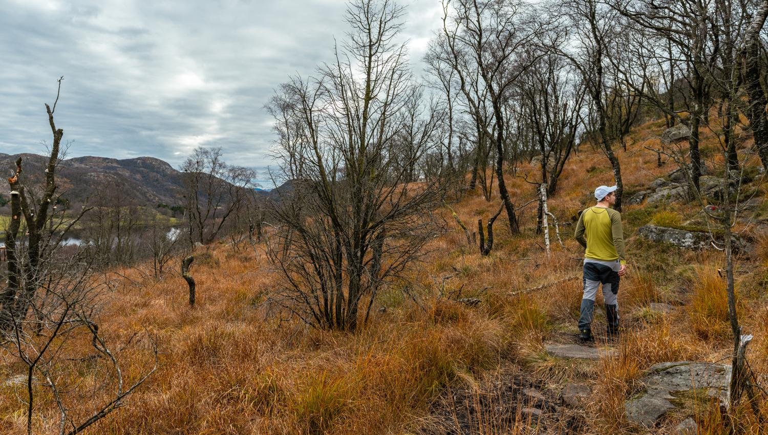 Beautiful colours in the mountains, here in autumn