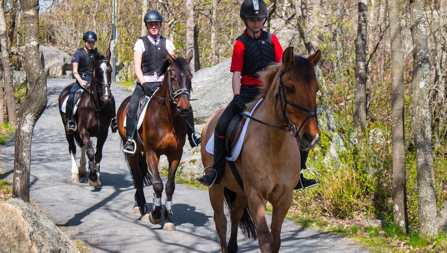 Ridetur ved Verdens Ende