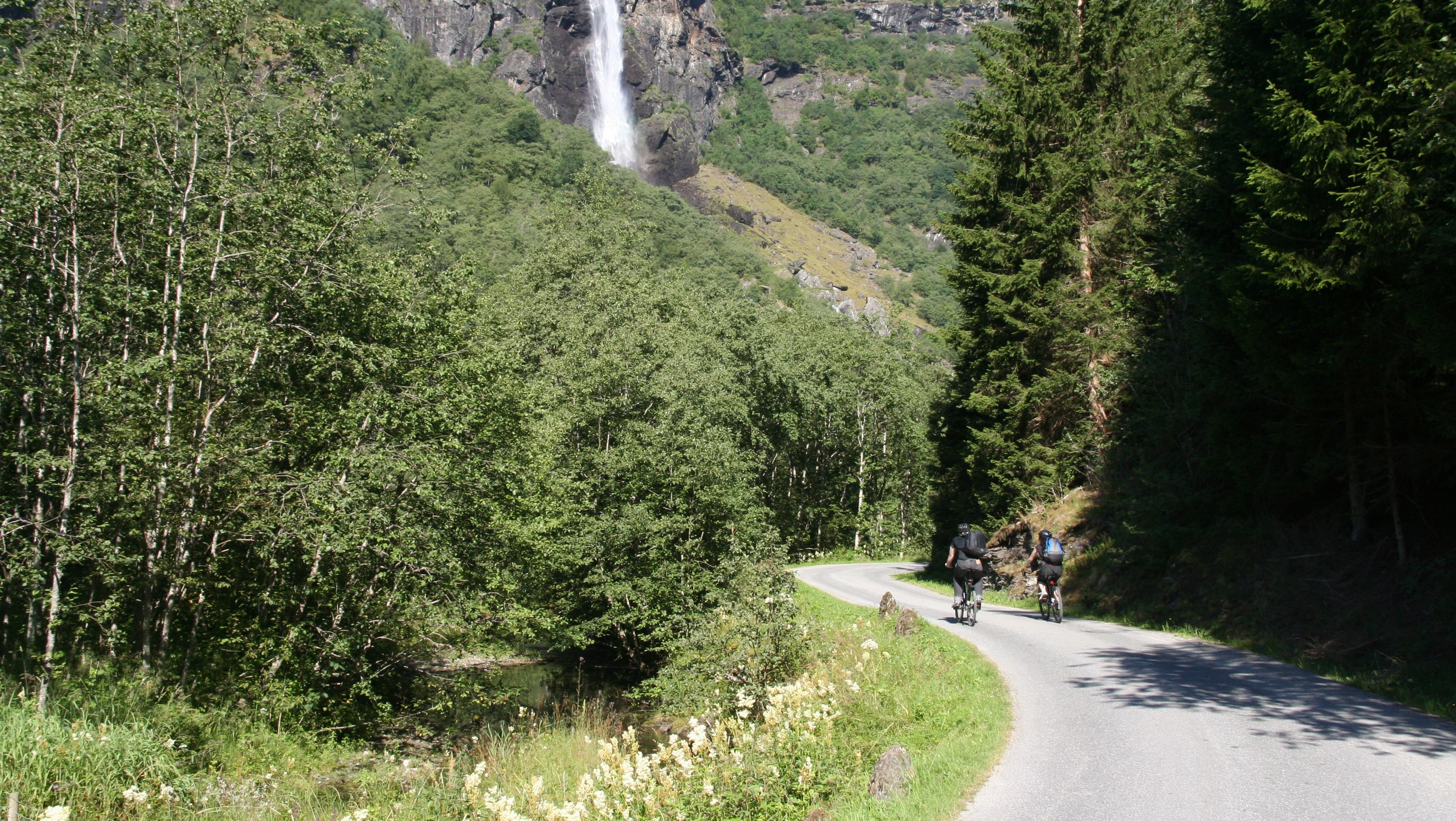 Sykling ned til Flåm