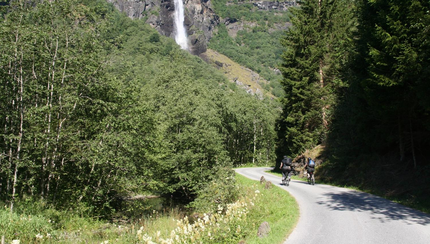 Sykling ned til Flåm