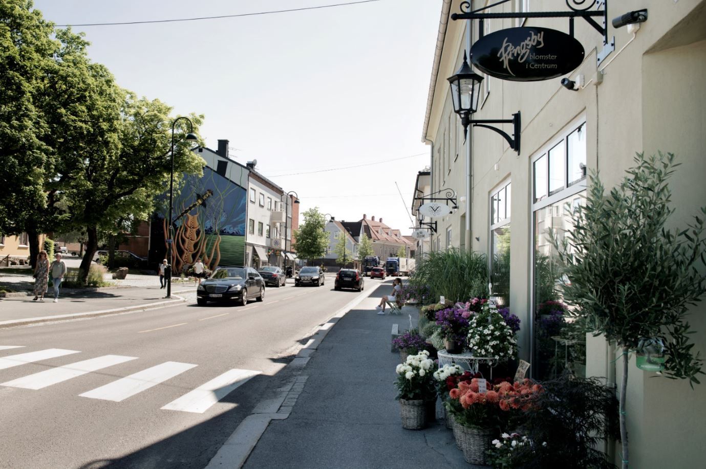 Rakkestad sentrumsgata