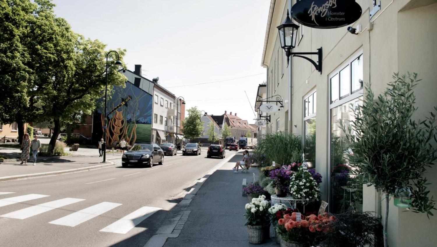 Rakkestad sentrumsgata