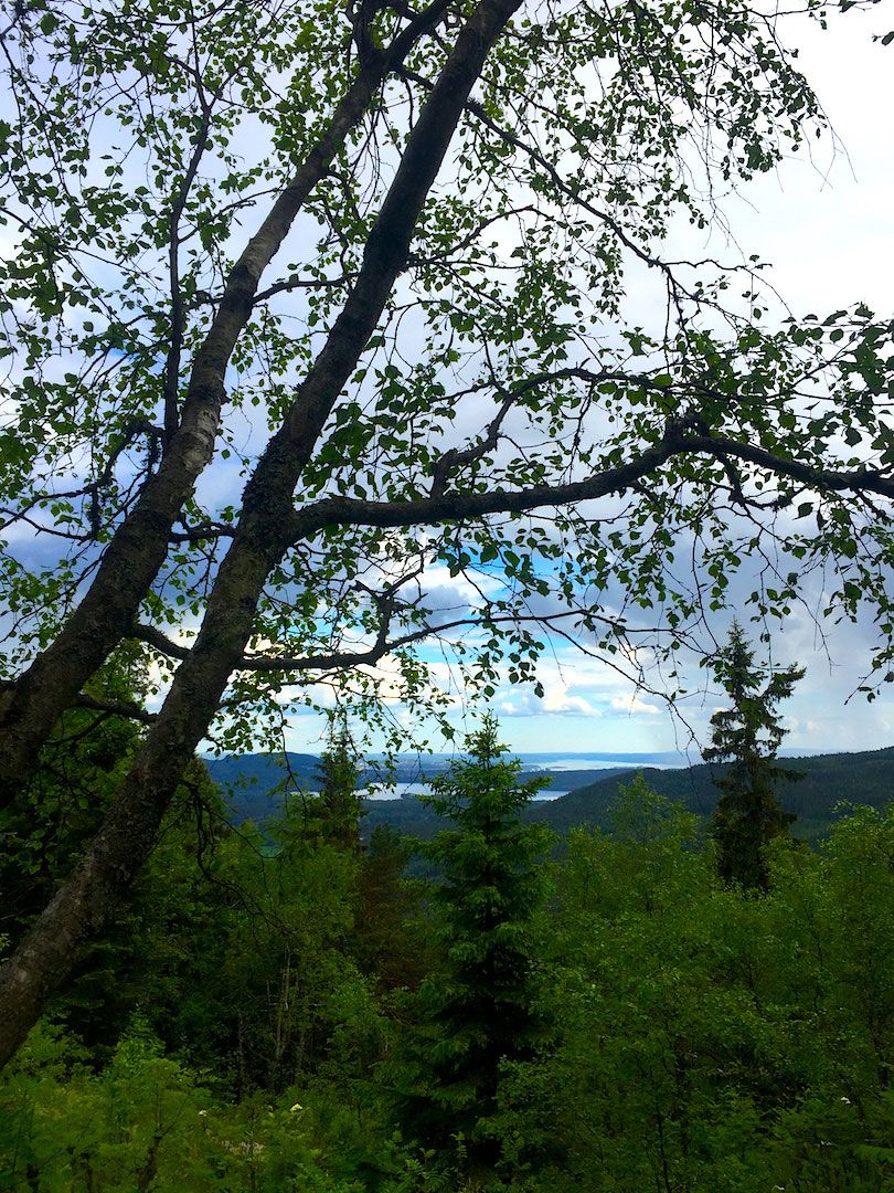 utsikt over tretoppene, vann og fjell