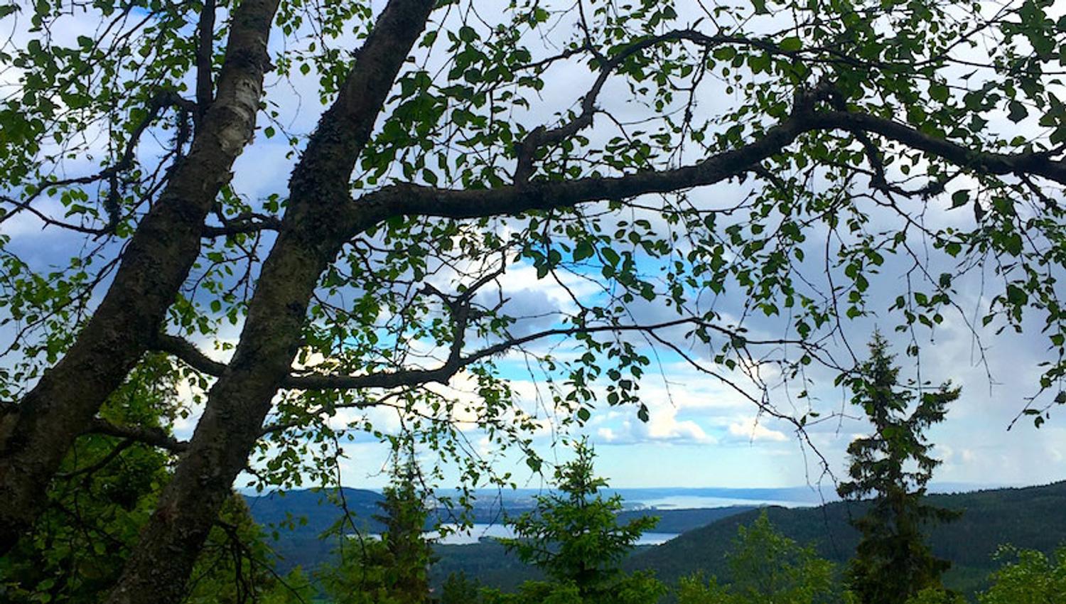 utsikt over tretoppene, vann og fjell
