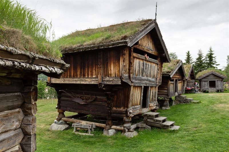 Houses in Geilojordet with grass on the roof. 