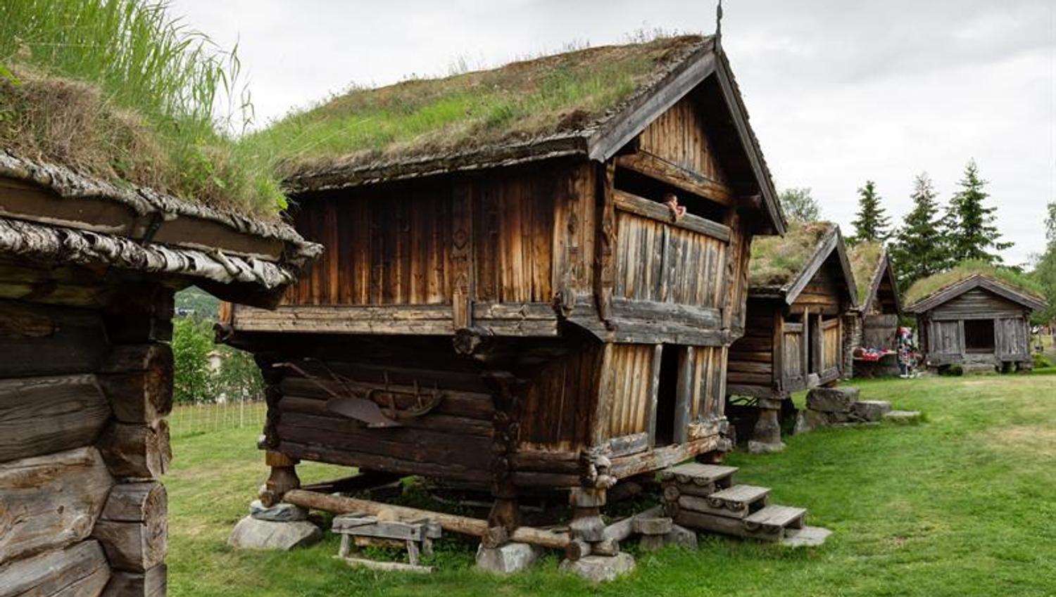 Houses in Geilojordet with grass on the roof.