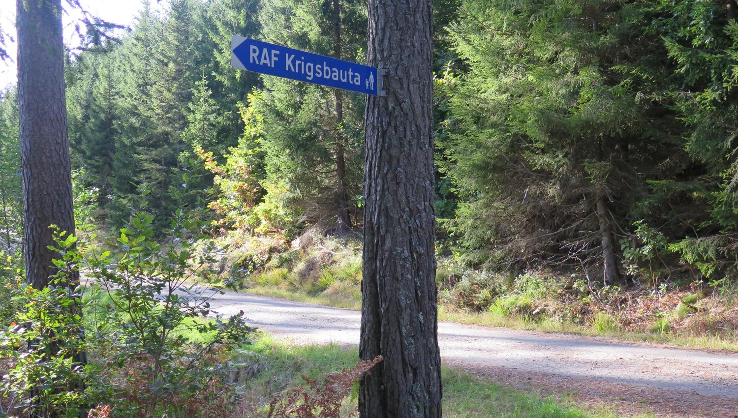 Krigsminnet på Vierli