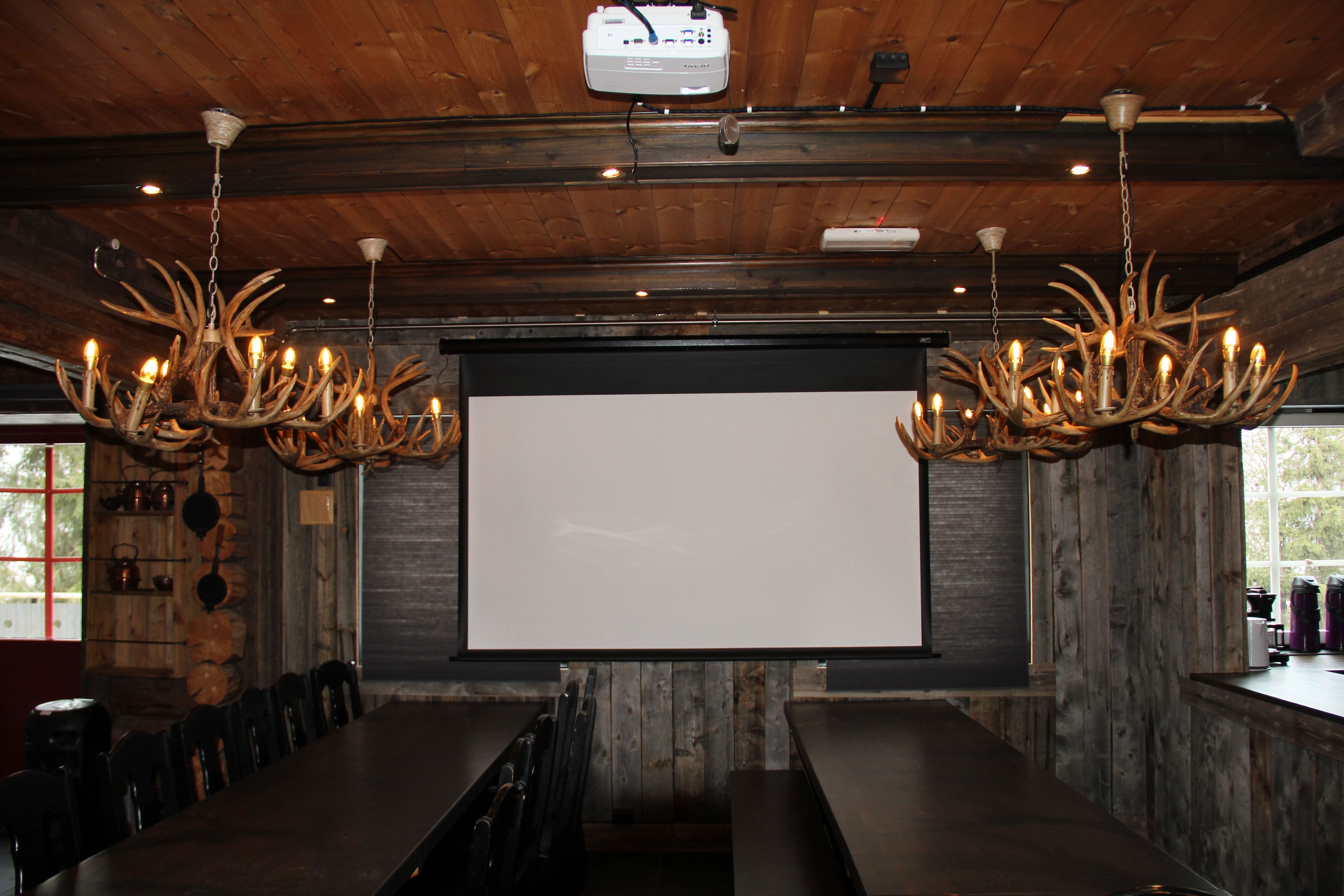 A room with antlers from the ceiling.