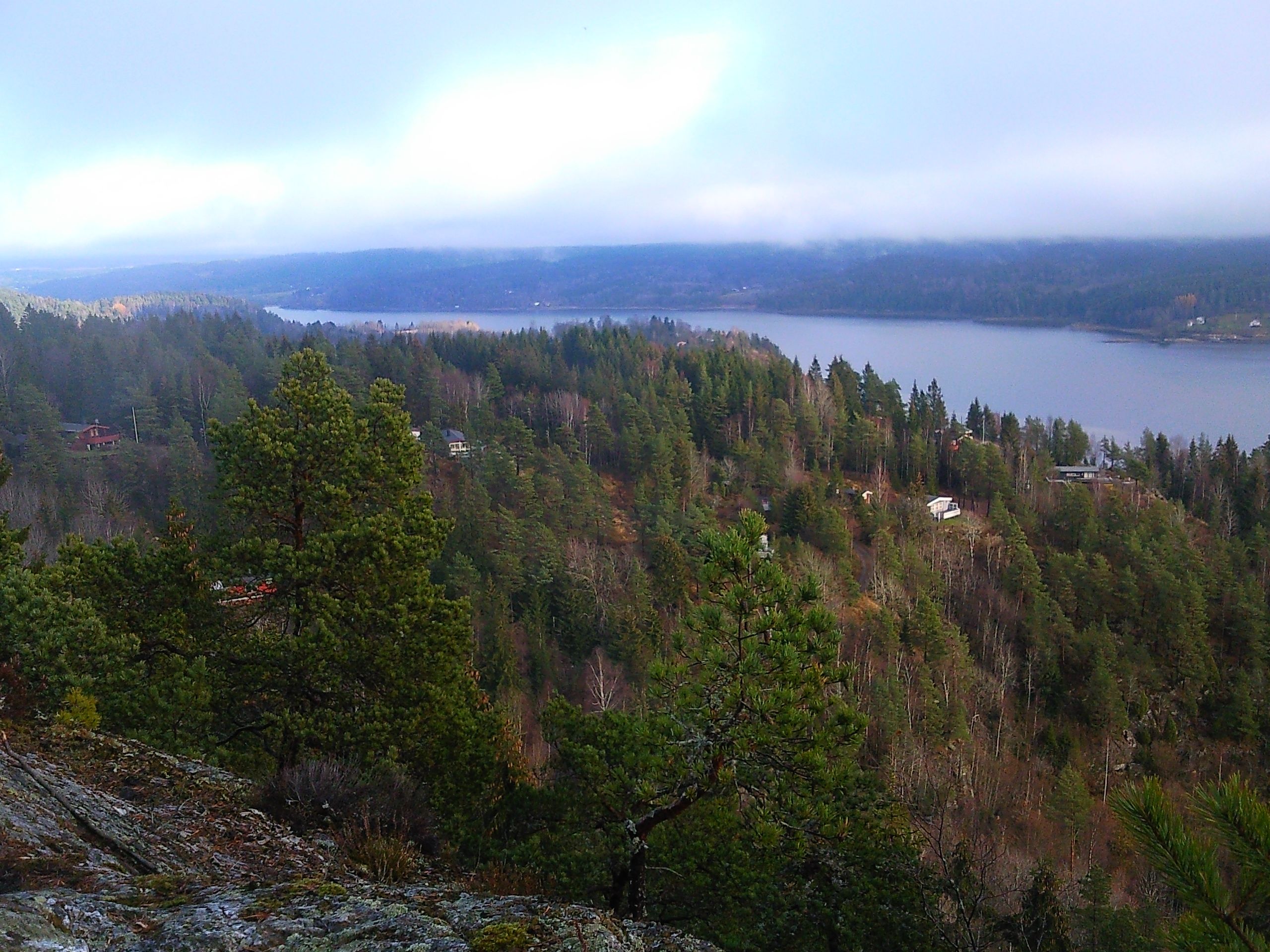 dronebilde over området