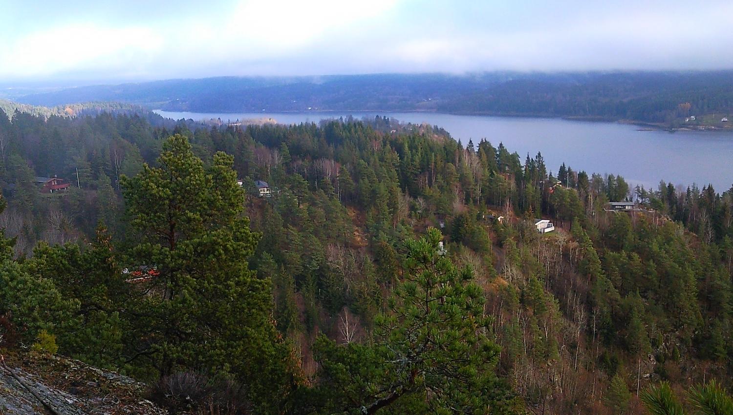 dronebilde over området