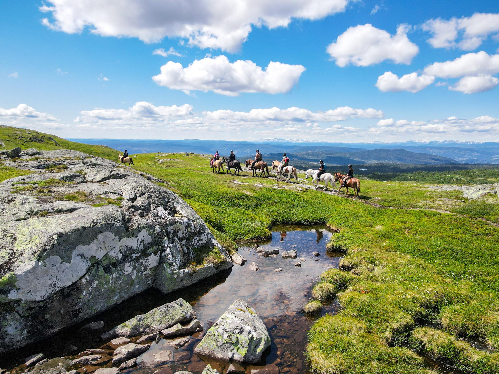 Horse riding in Nesbyen