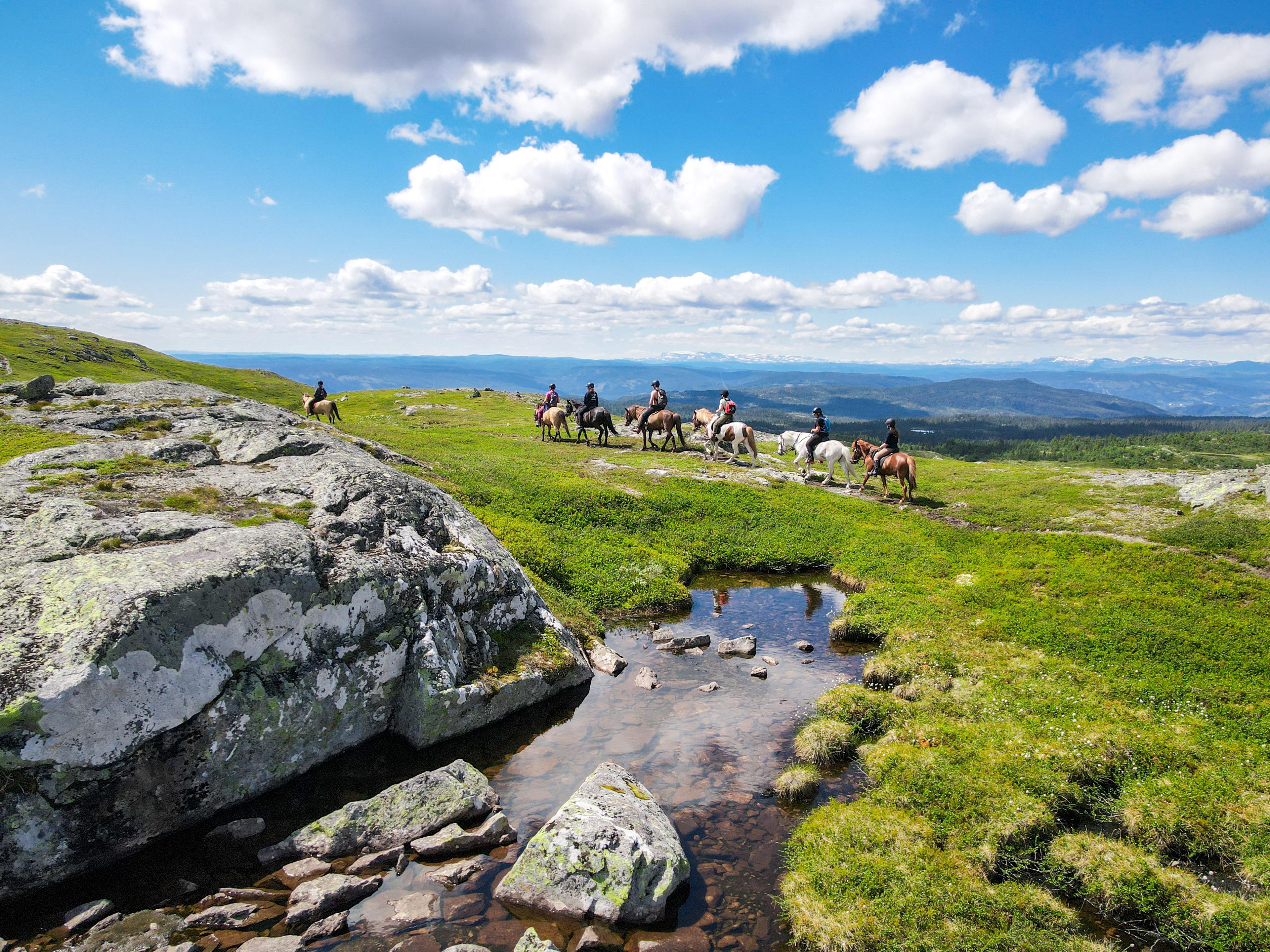 Horse riding in Nesbyen