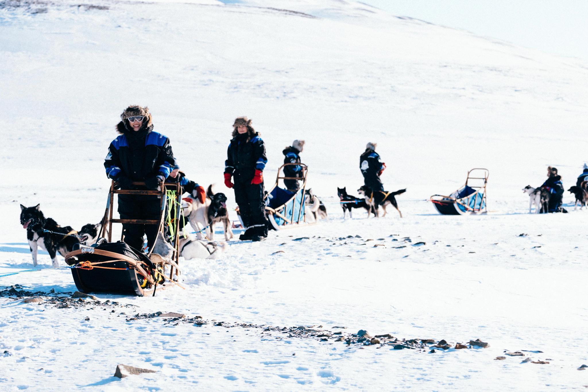 Group with dog sleds