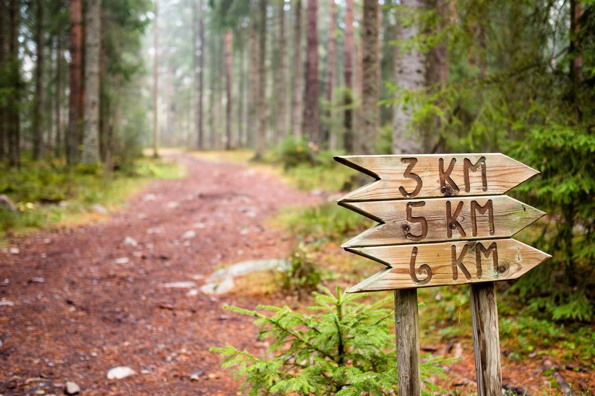 Et skogssti går gjennom tett skog, med treskilt som viser avstander på 3, 5 og 6 km.