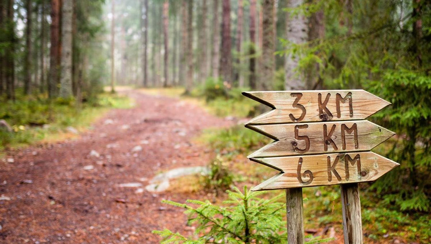 Et skogssti går gjennom tett skog, med treskilt som viser avstander på 3, 5 og 6 km.