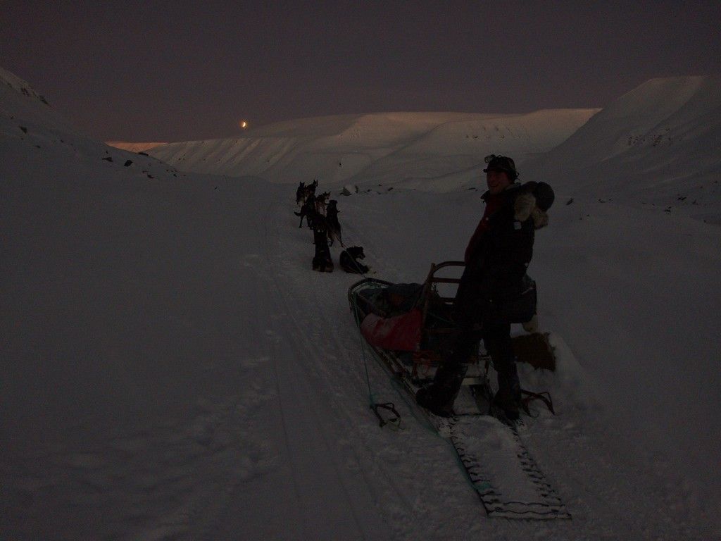 En person bakpå et hundespann i skumringslys