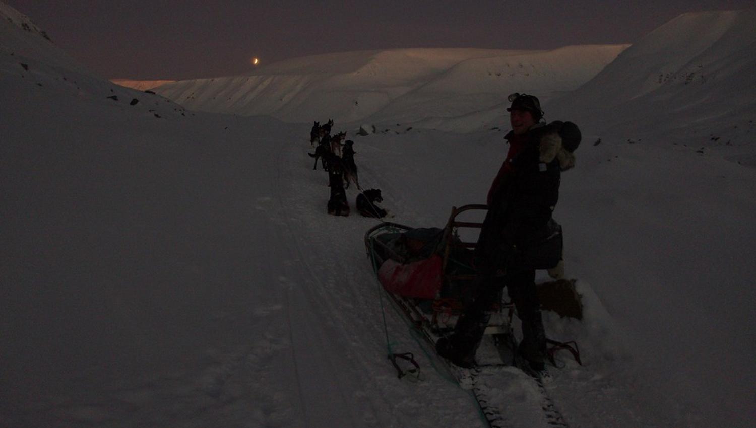 En person bakpå et hundespann i skumringslys